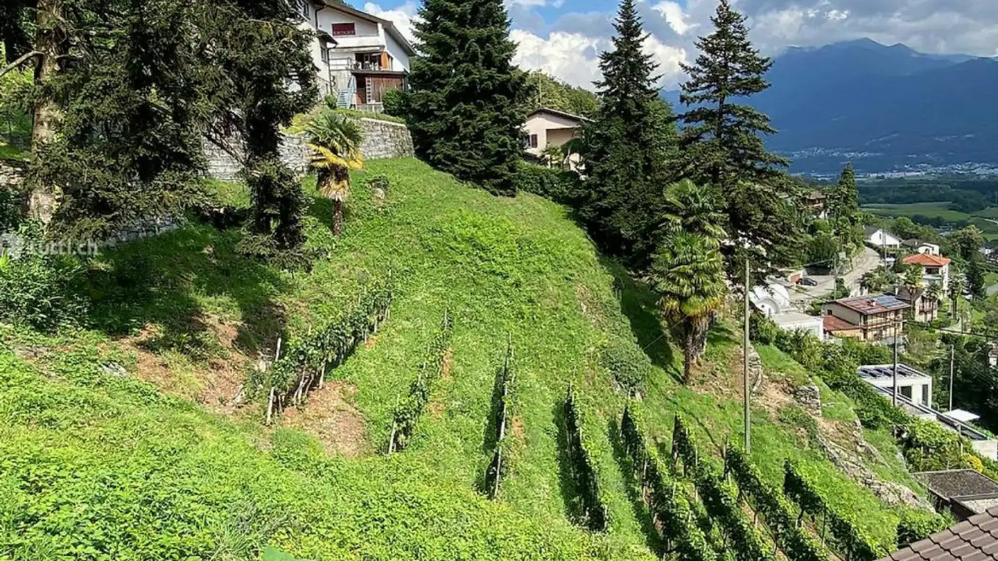 Constructible plot for sale - 6516 Cugnasco