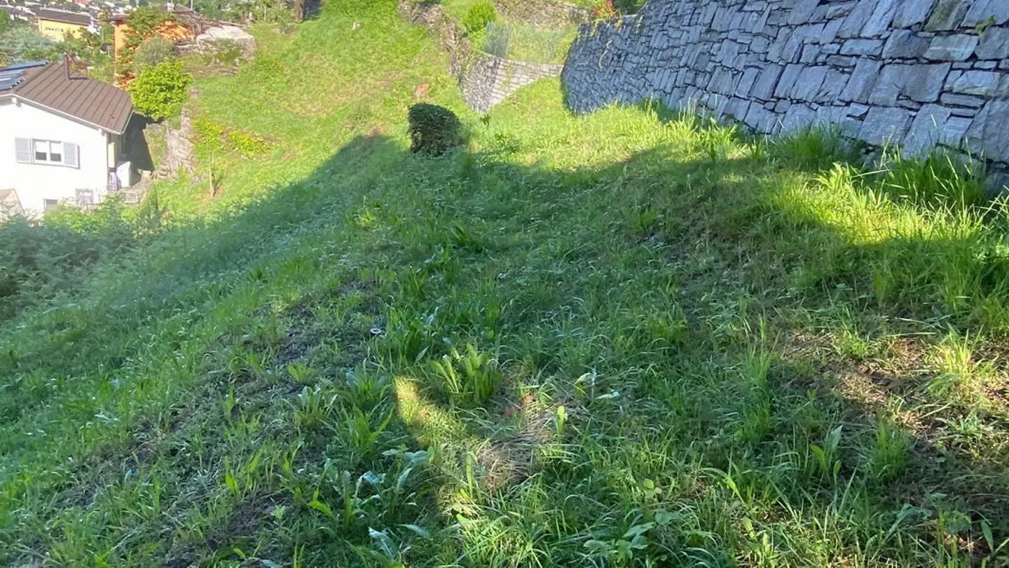 Constructible plot for sale - 6516 Cugnasco - Photo 3