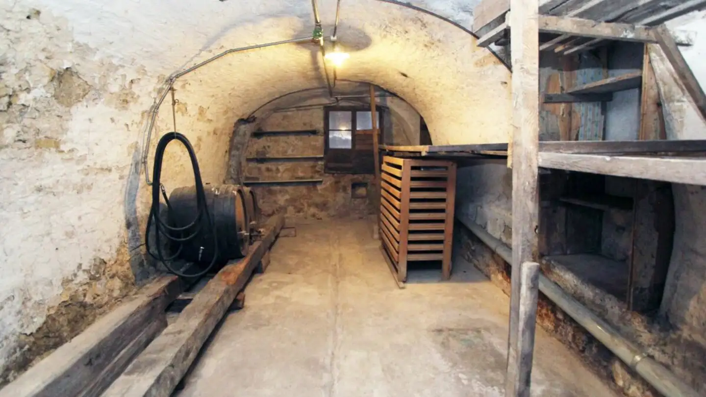 Farm for sale - Rüttigasse 1, 4402 Frenkendorf