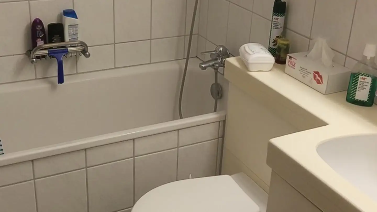 Chambre à louer - Hönggerstrasse 9, 8102 Oberengstringen - Photo 3