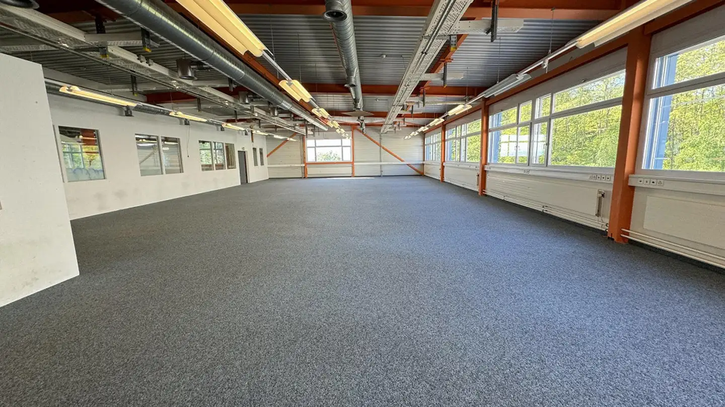 Commerciale in affitto - Andhauserstrasse 52, 8572 Andhausen - Photo 3