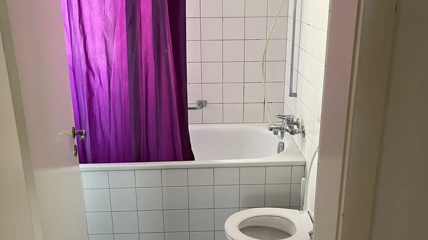 Single room for rent - Werdstrasse 121, 8003 Zürich - Photo 2