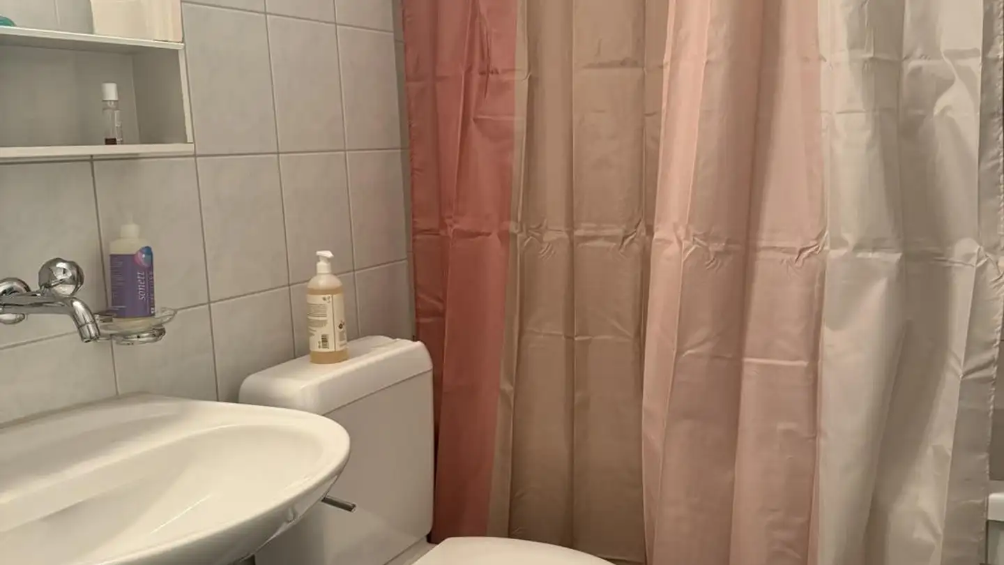 Apartment for rent - 8103 Unterengstringen - Photo 3