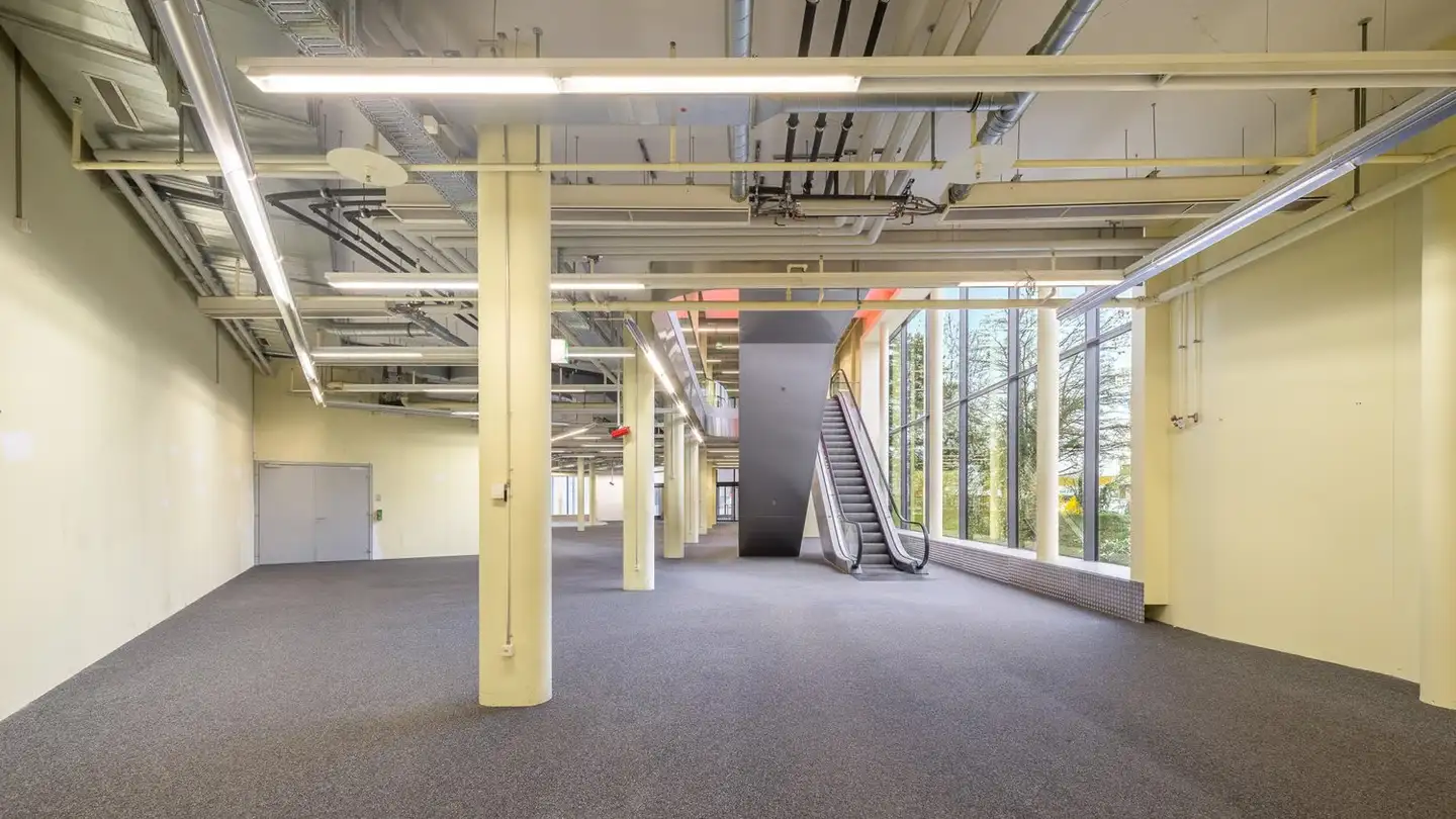 Commercial for rent - Alte Dübendorferstrasse 17, 8305 Dietlikon - Photo 4