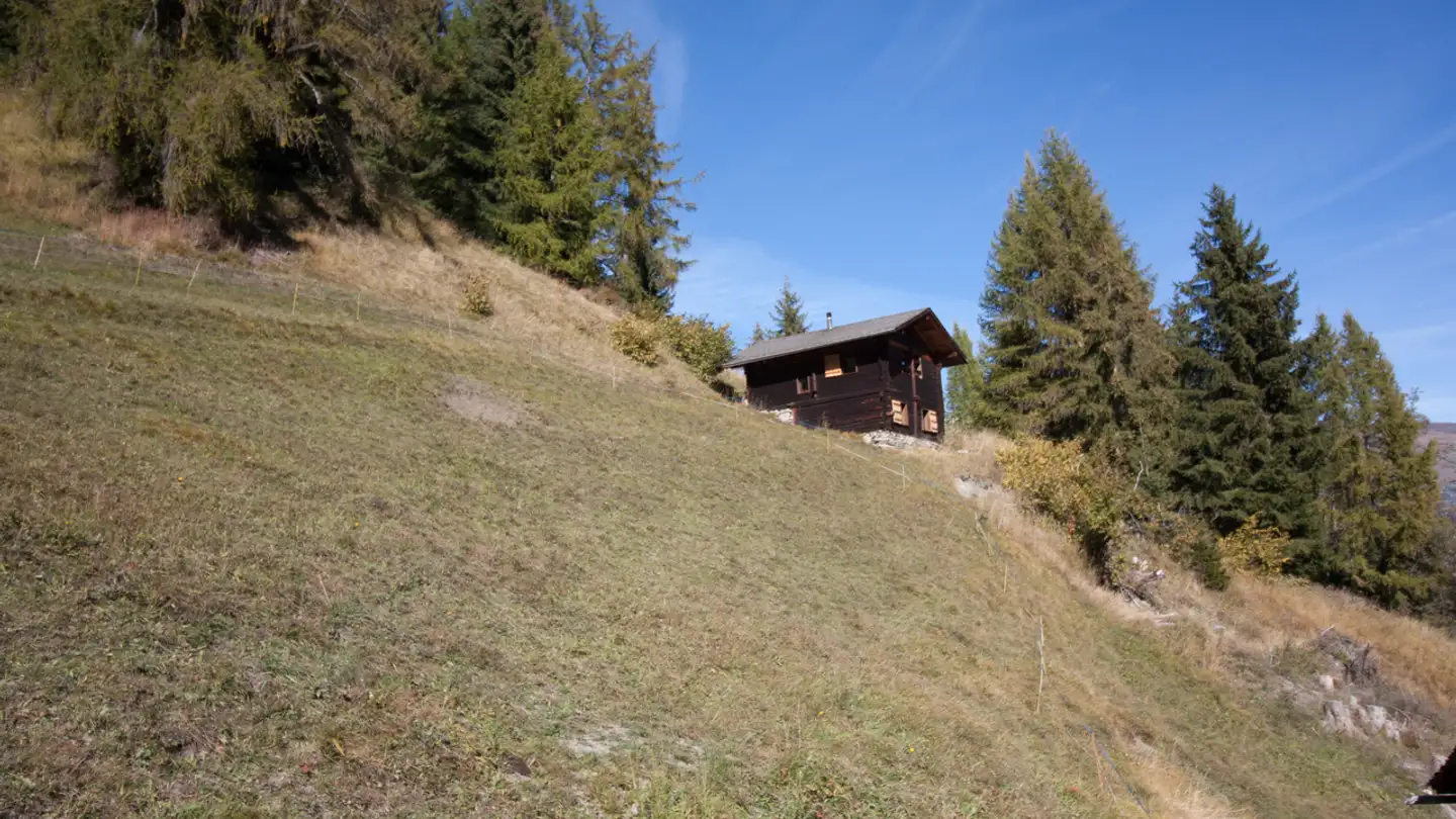 Chalet à vendre - Route De La Côt, 1934 Bruson