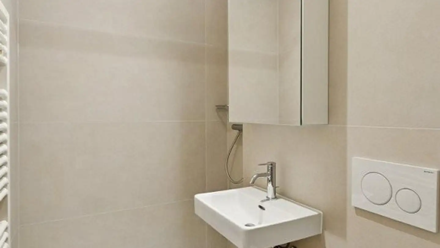 Appartamento in affitto - Place Du Rondeau 8, 1227 Carouge GE - Foto 3