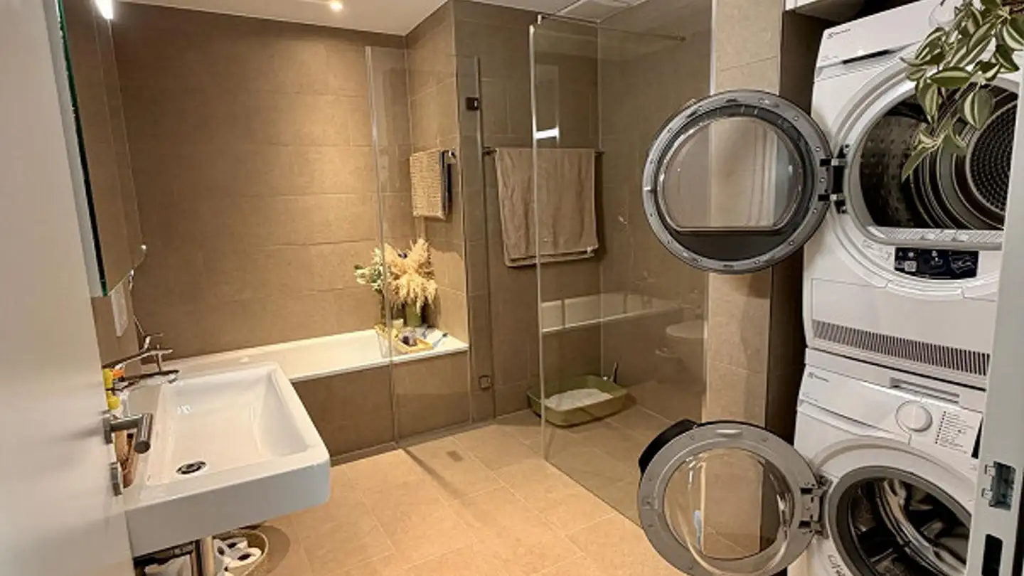 Appartamento in affitto - Plattenstrasse 31, 5712 Beinwil am See - Foto 3