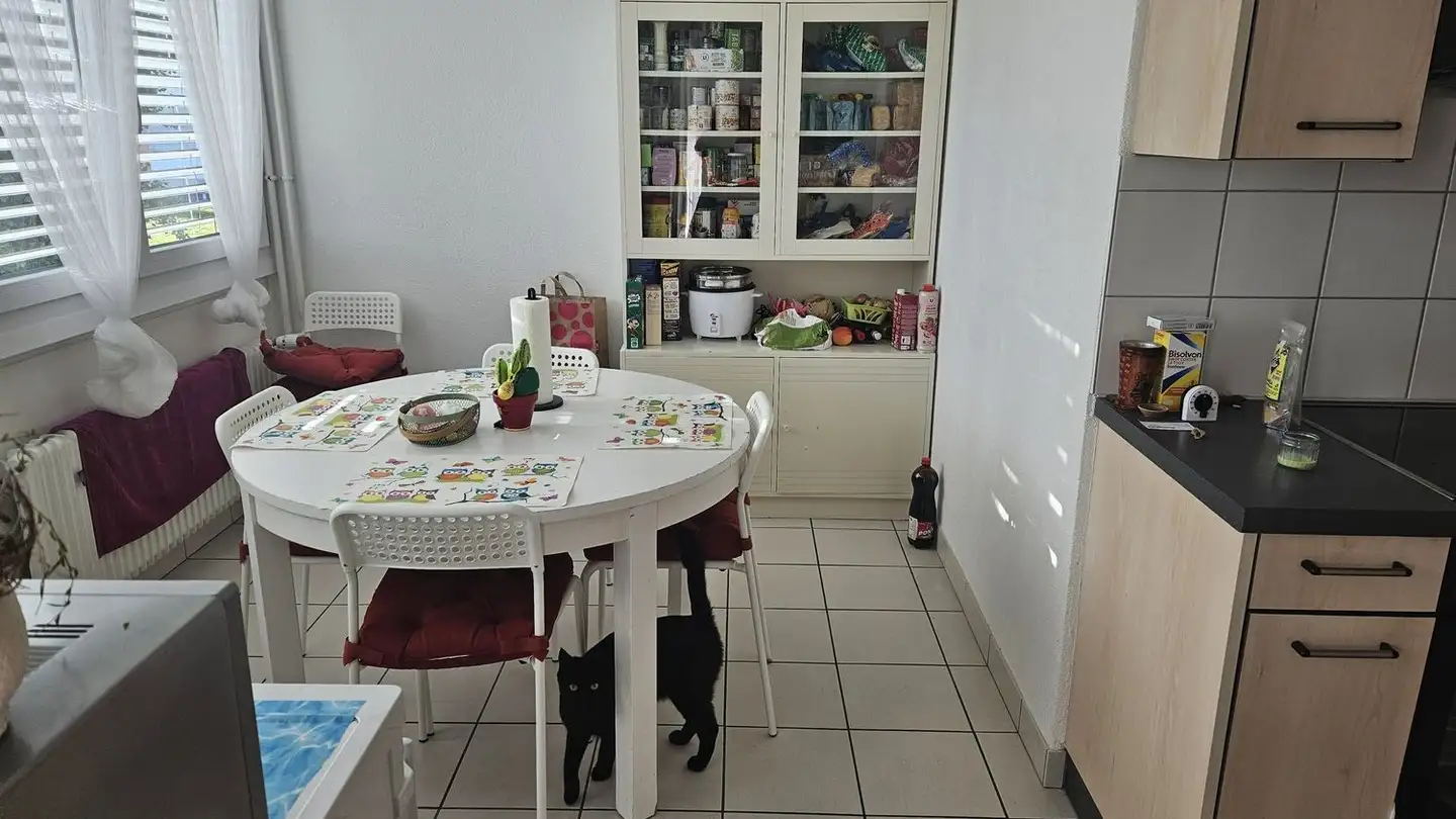 Wohnung mieten - Avenue Jean-Bourgknecht 16, 1700 Fribourg - Foto 3