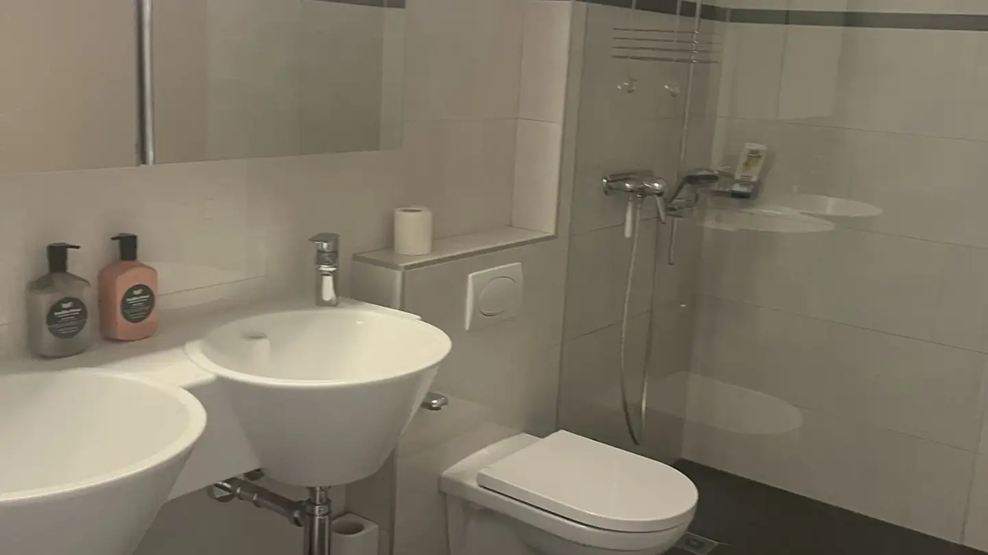 Chambre à louer - 8800 Thalwil - Photo 4