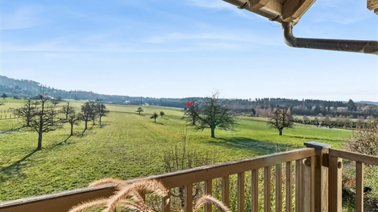 Appartement à vendre - Zürcherstrasse 87, 8142 Uitikon Waldegg