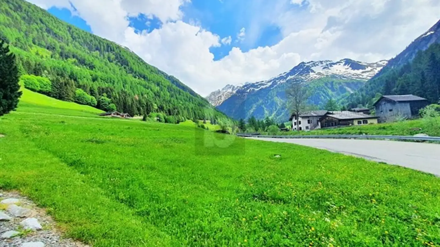 Terrain constructible à vendre - 1929 Trient - Photo 3