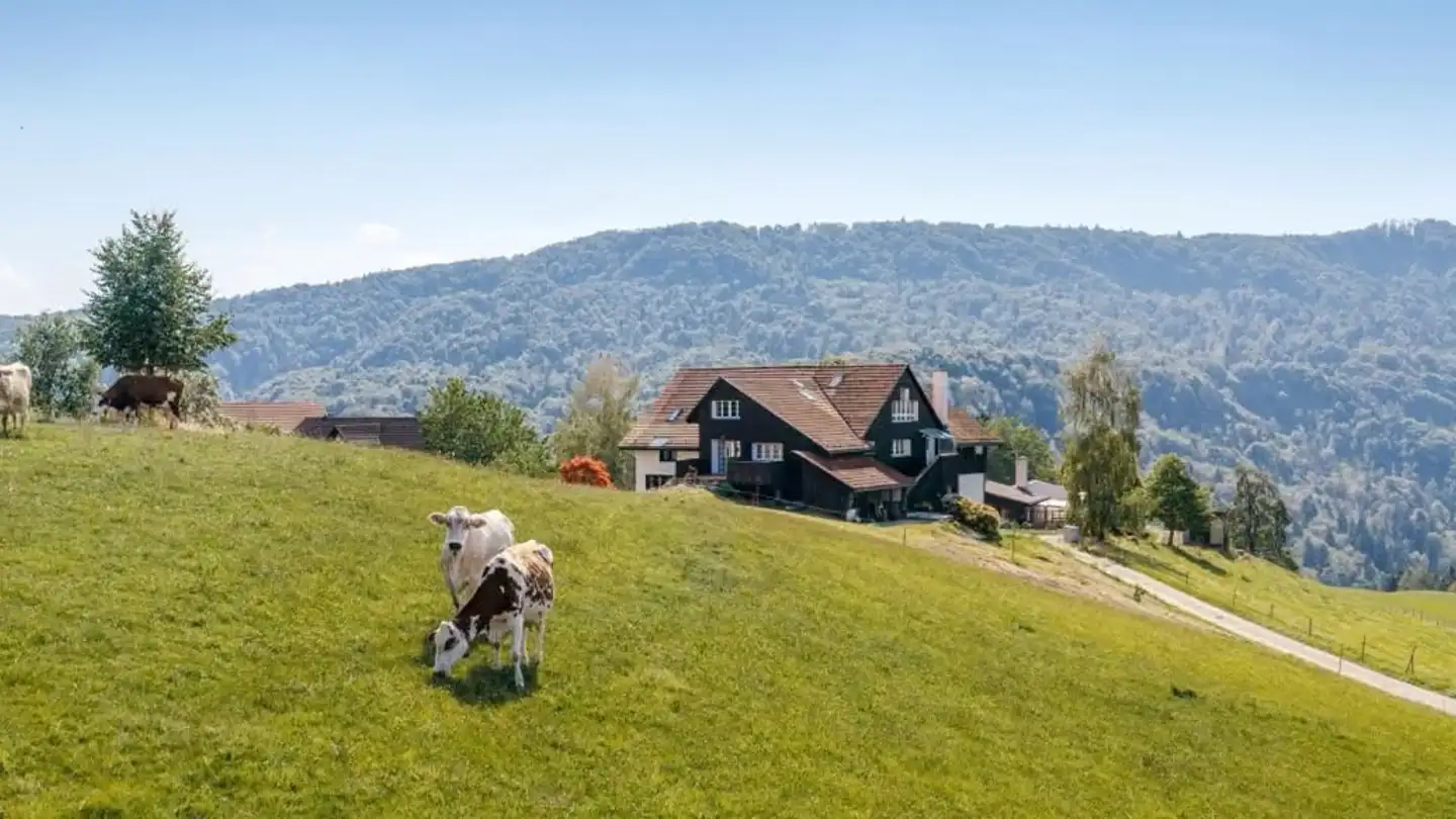 Duplex à louer - Steinkrattenweg 5, 8815 Horgenberg