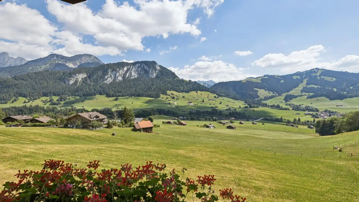 Appartement à vendre - 1660 Château-d'Oex