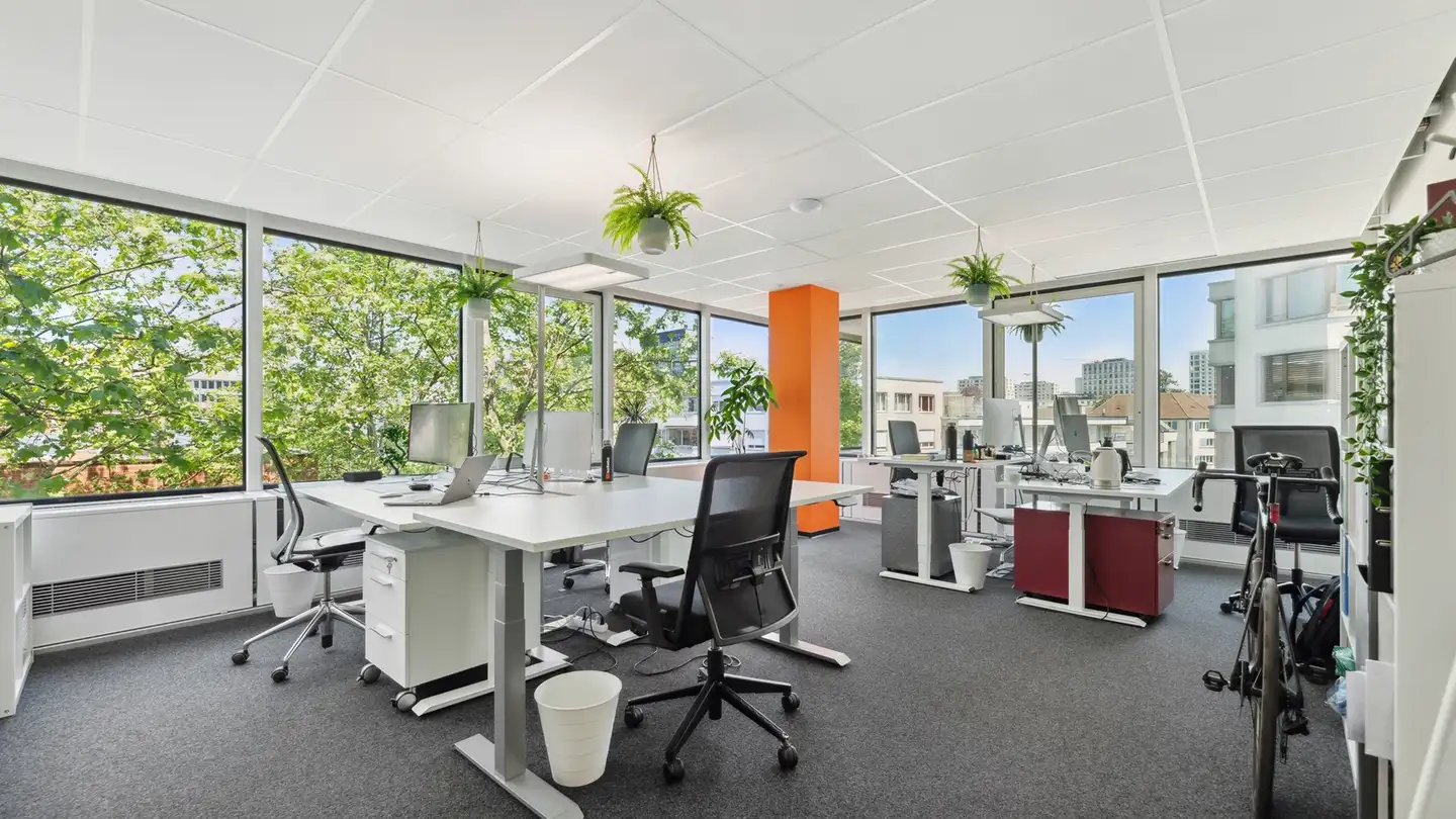 Bureau à louer - Altstetterstrasse 124, 8048 Zürich - Photo 3