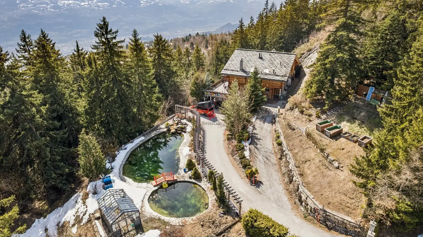 Chalet kaufen - Chemin De La Tzoumetta, 1974 Arbaz - Foto 2