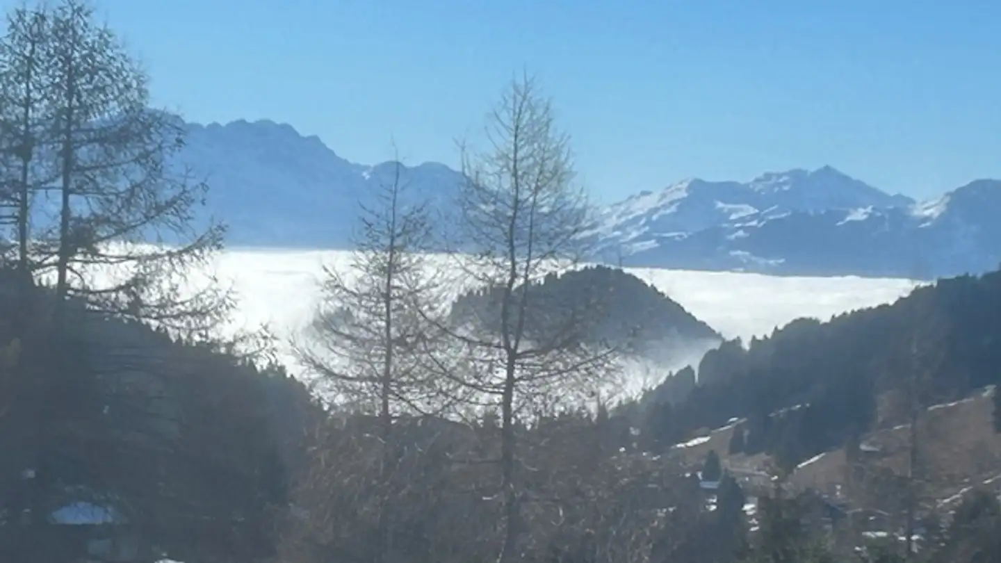 Appartement à vendre - Chemin Du Lioson 18, 1862 Les Mosses