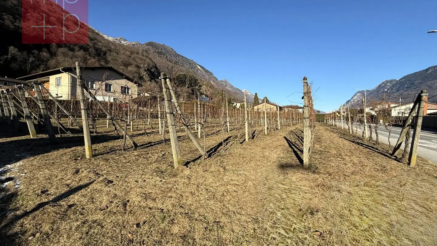Constructible plot for sale - 6525 Gnosca - Photo 2