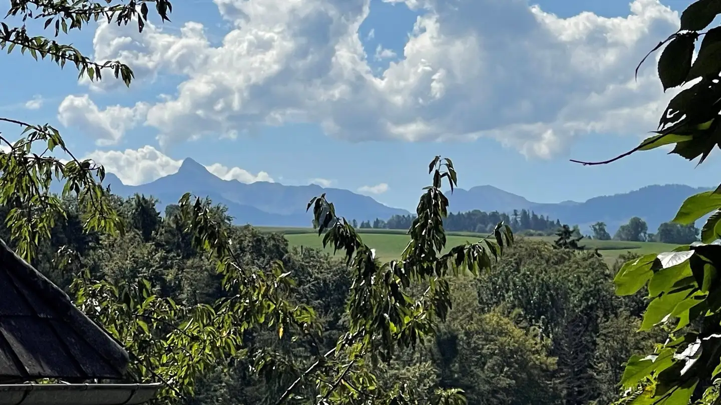Bauernhof kaufen - 3145 Niederscherli - Foto 3