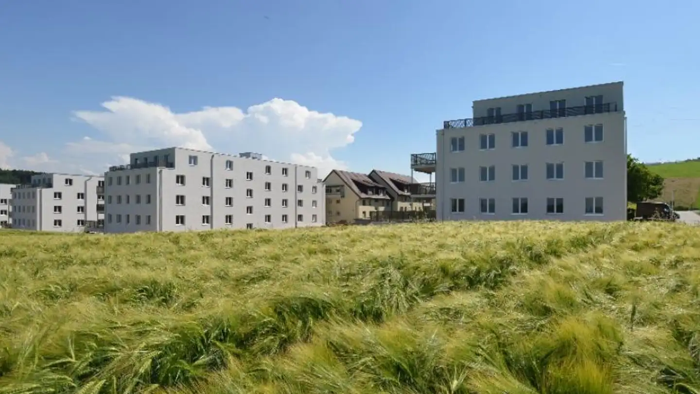 Appartement à louer - Bodelenweg 100, 3172 Niederwangen b. Bern - Photo 2
