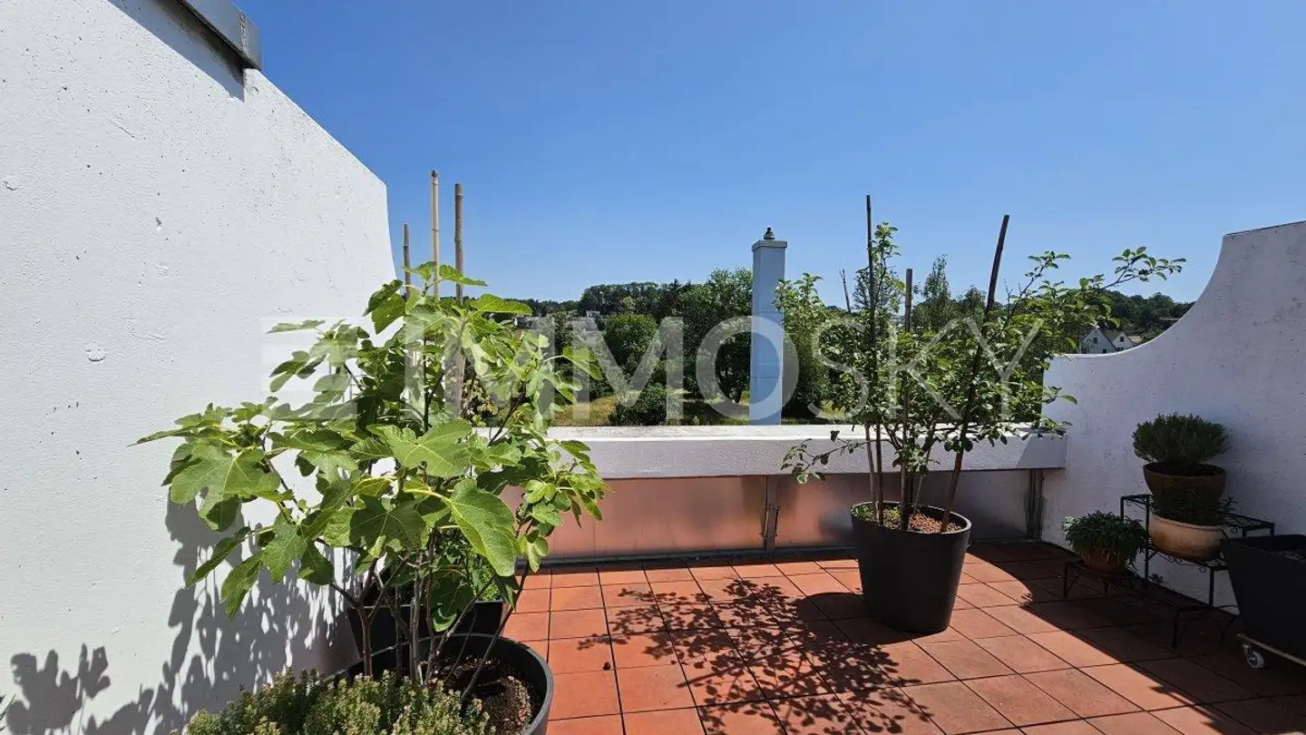 Attique à vendre - 8602 Wangen b. Dübendorf - Photo 2