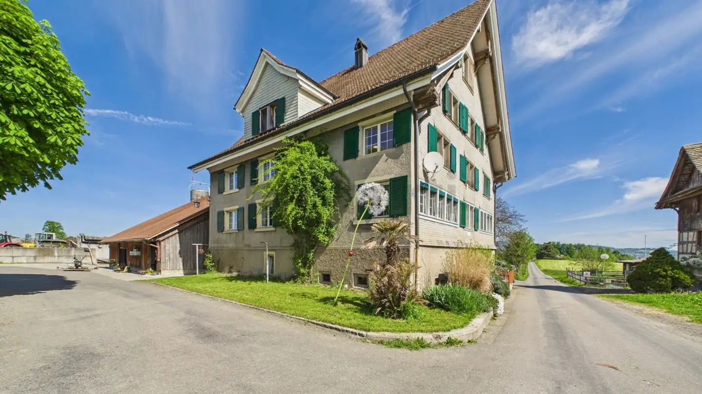 Duplex in affitto - 8820 Wädenswil