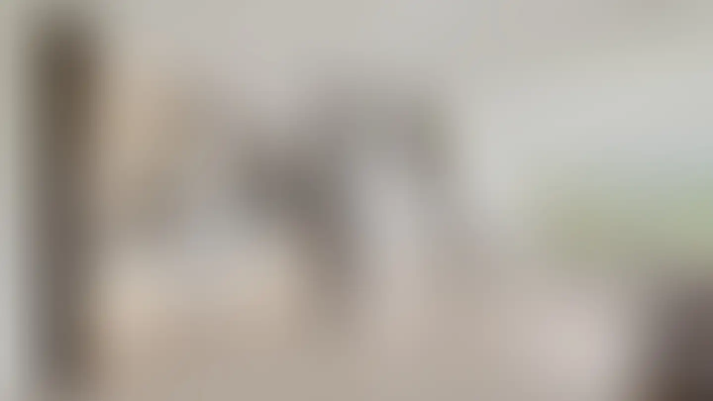 Apartment for sale - 1302 Vufflens-la-Ville