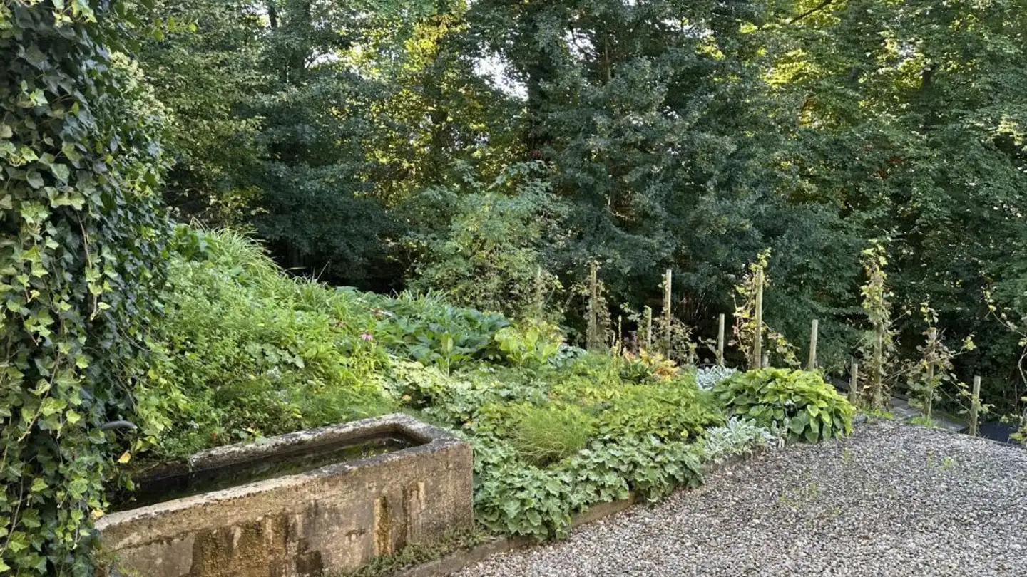 Maison individuelle à vendre - 6331 Hünenberg - Photo 4