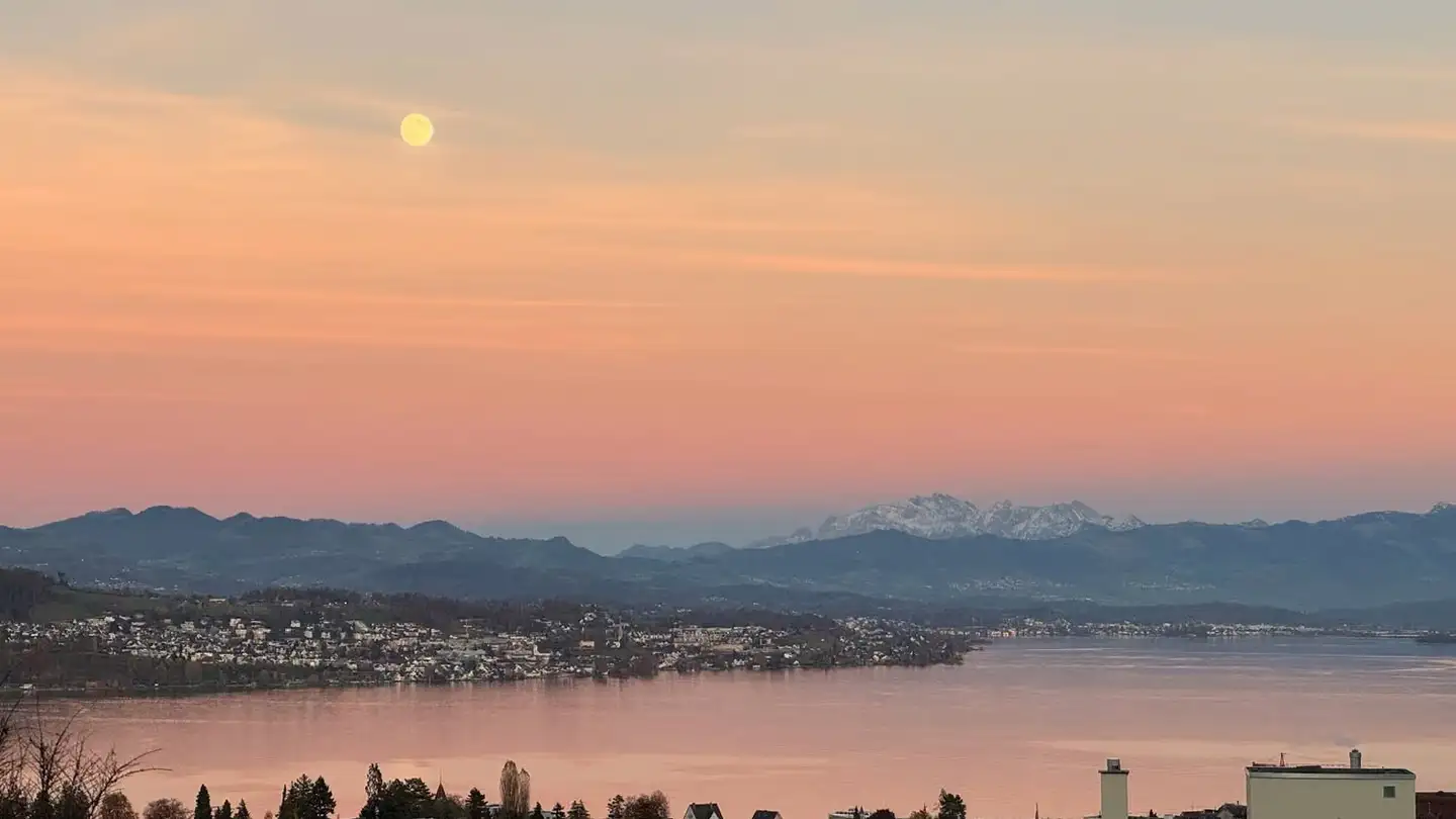 Appartement en terrasse à vendre - Pfannenstilstrasse 5, 8820 Wädenswil