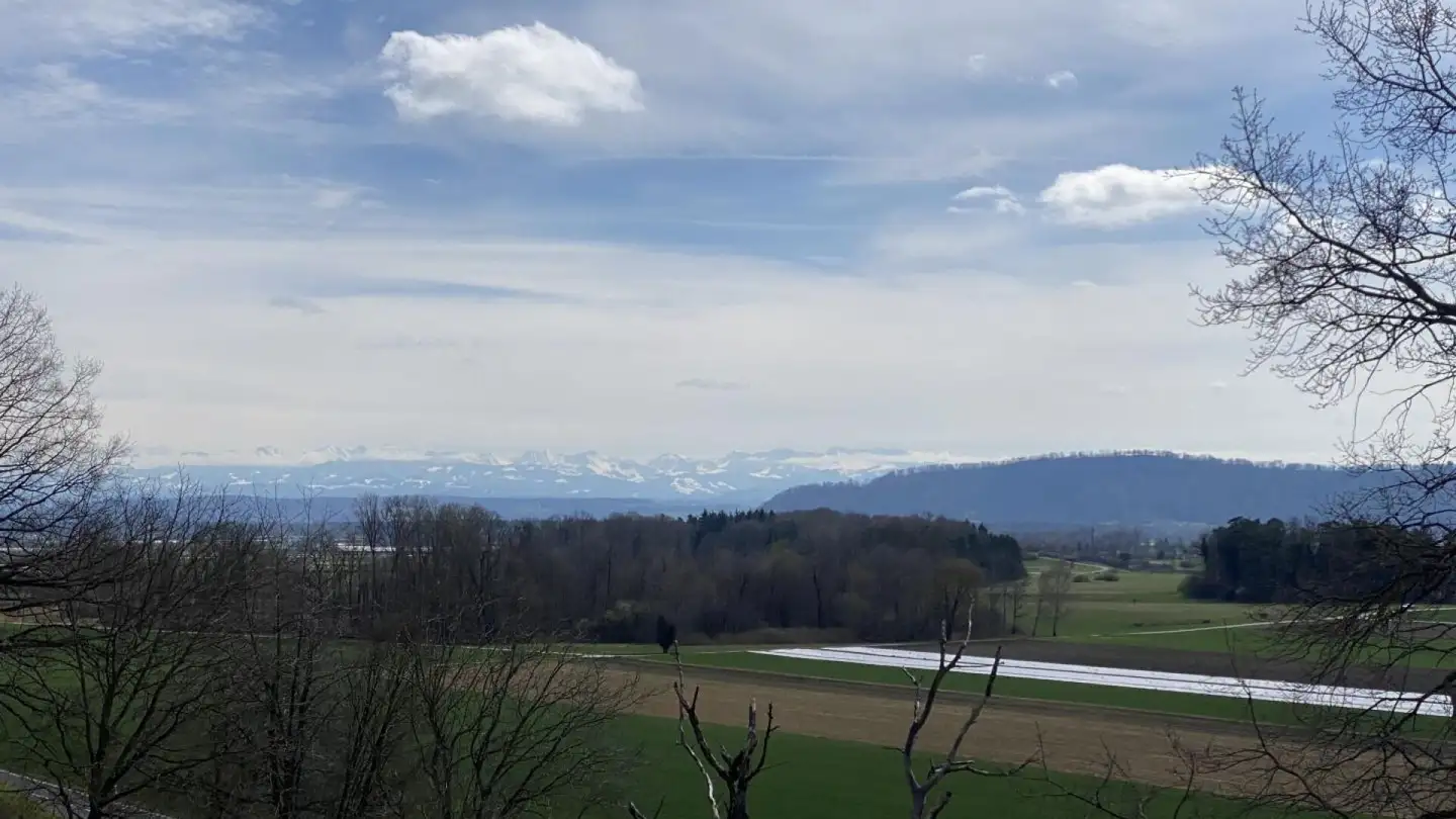 Appartamento in vendita - Tschuggstrasse 22, 3236 Gampelen - Photo 3