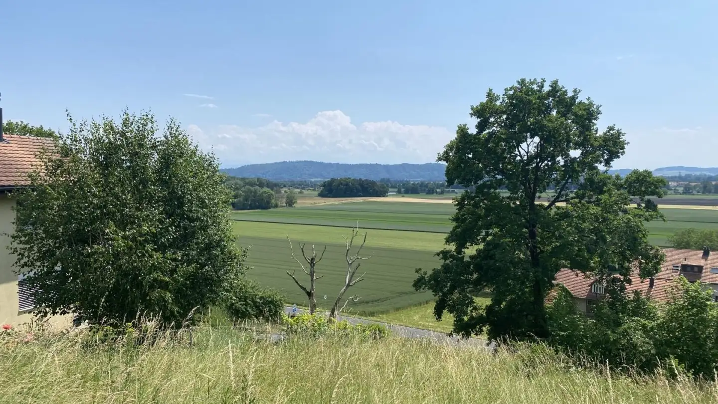 Appartamento in vendita - Tschuggstrasse 22, 3236 Gampelen - Photo 4