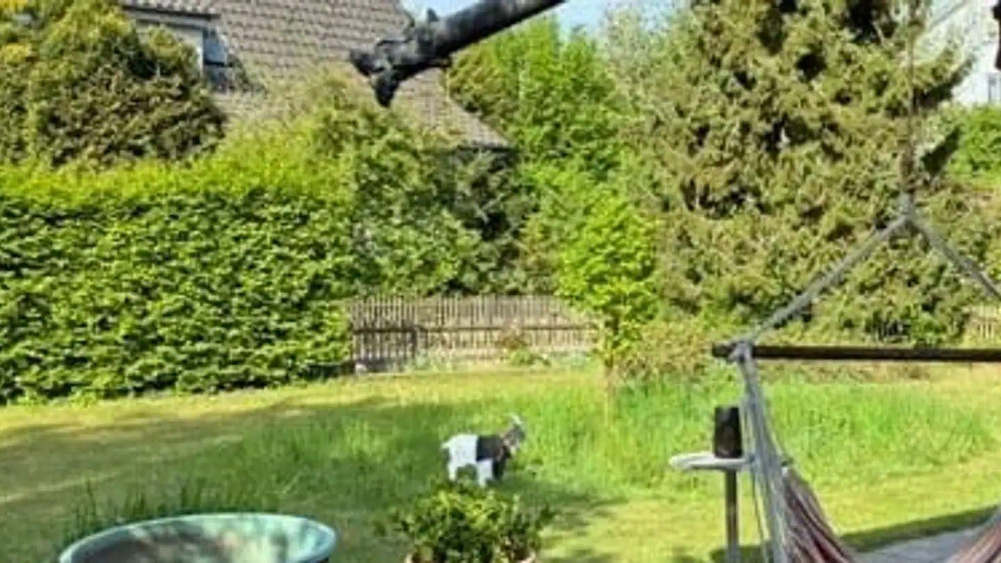 Maison individuelle à louer - Bäreggstrasse 7, 4900 Langenthal - Photo 3