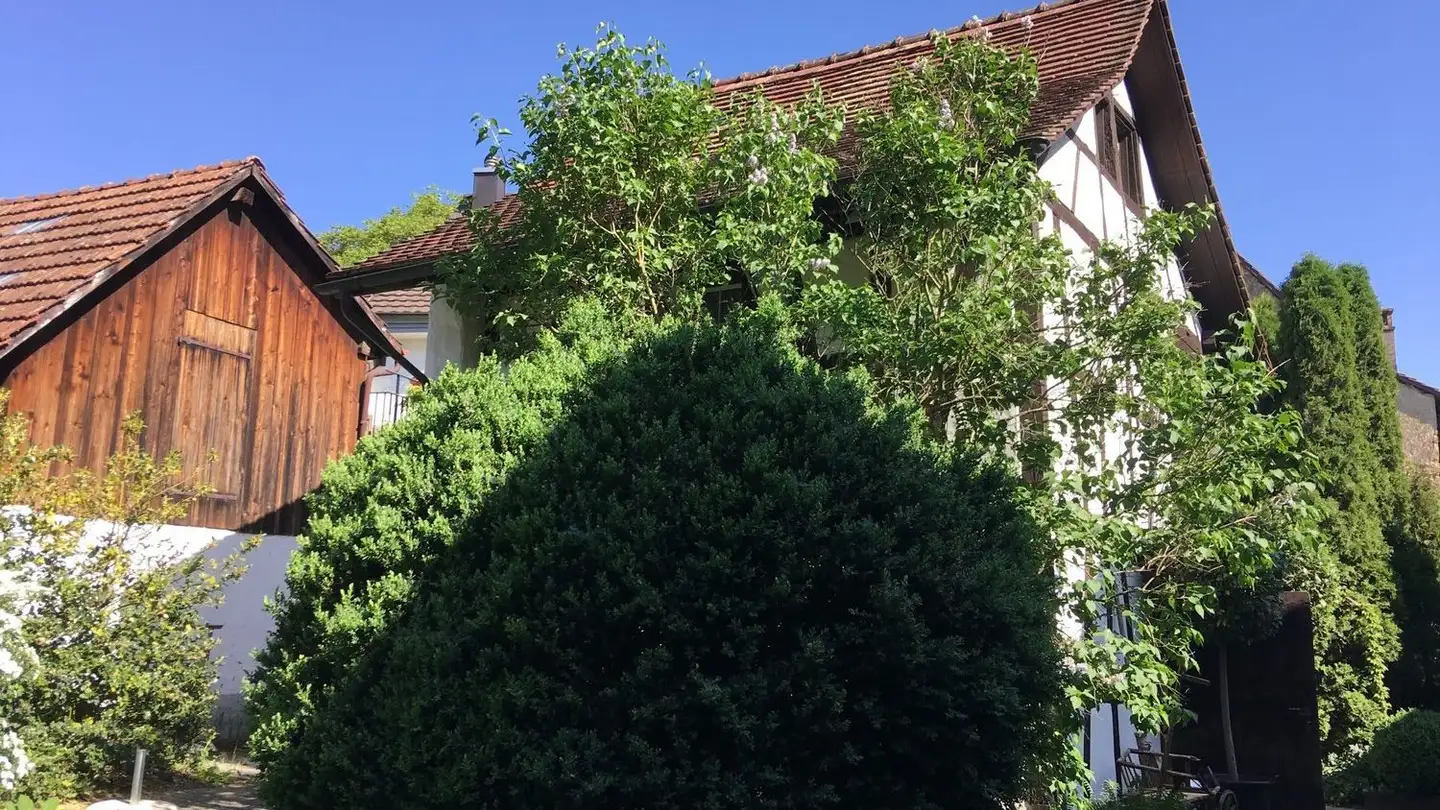 Appartement à louer - Dorfstrasse 23, 8175 Windlach - Photo 2