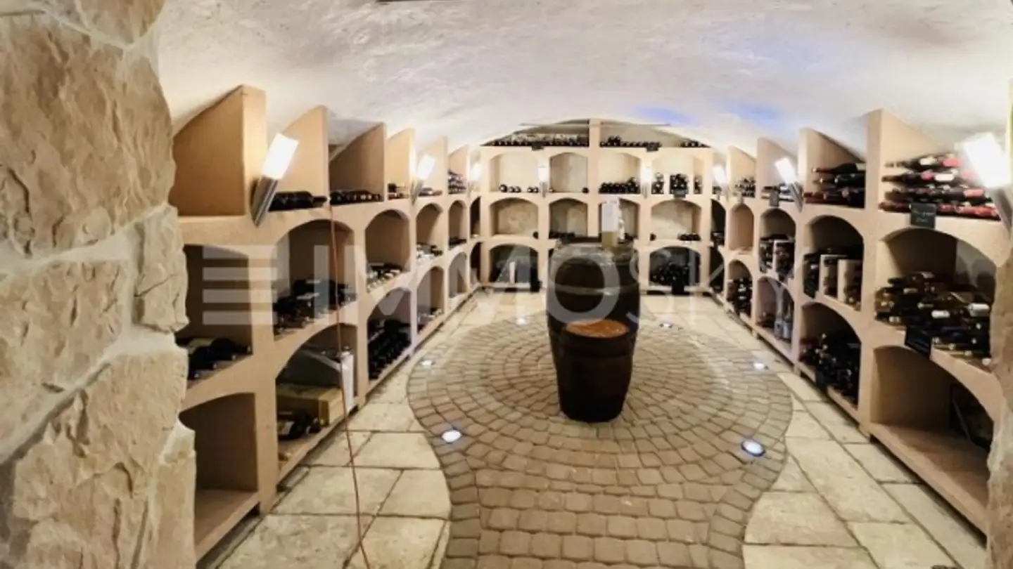 Château à vendre - 2738 Court - Photo 3