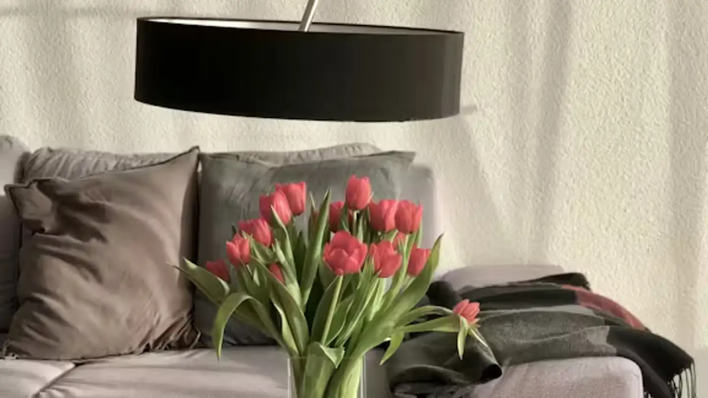 Appartamento in affitto - Rychenbergstrasse, 8400 Winterthur - Foto 2