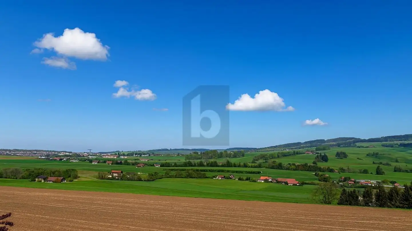 Villa à louer - 1628 Vuadens - Photo 2