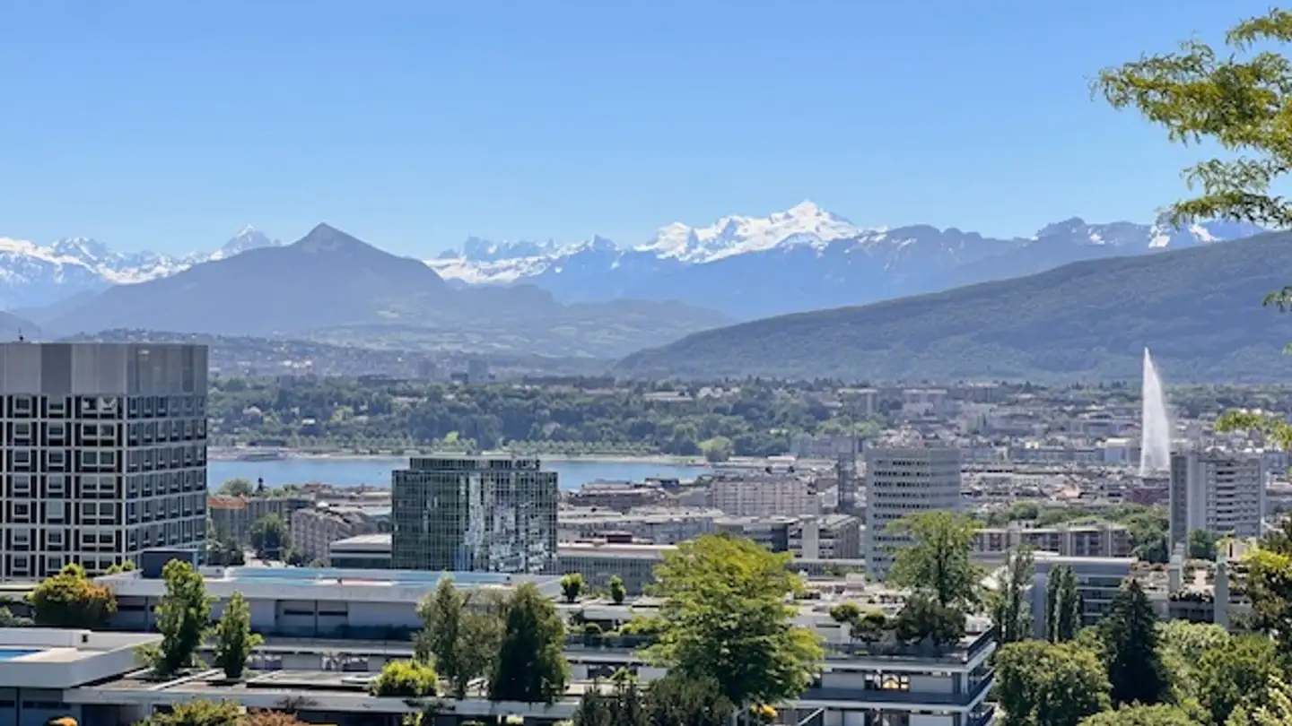Appartamento in vendita - Avenue De-Budé, 1202 Genève - Foto 2