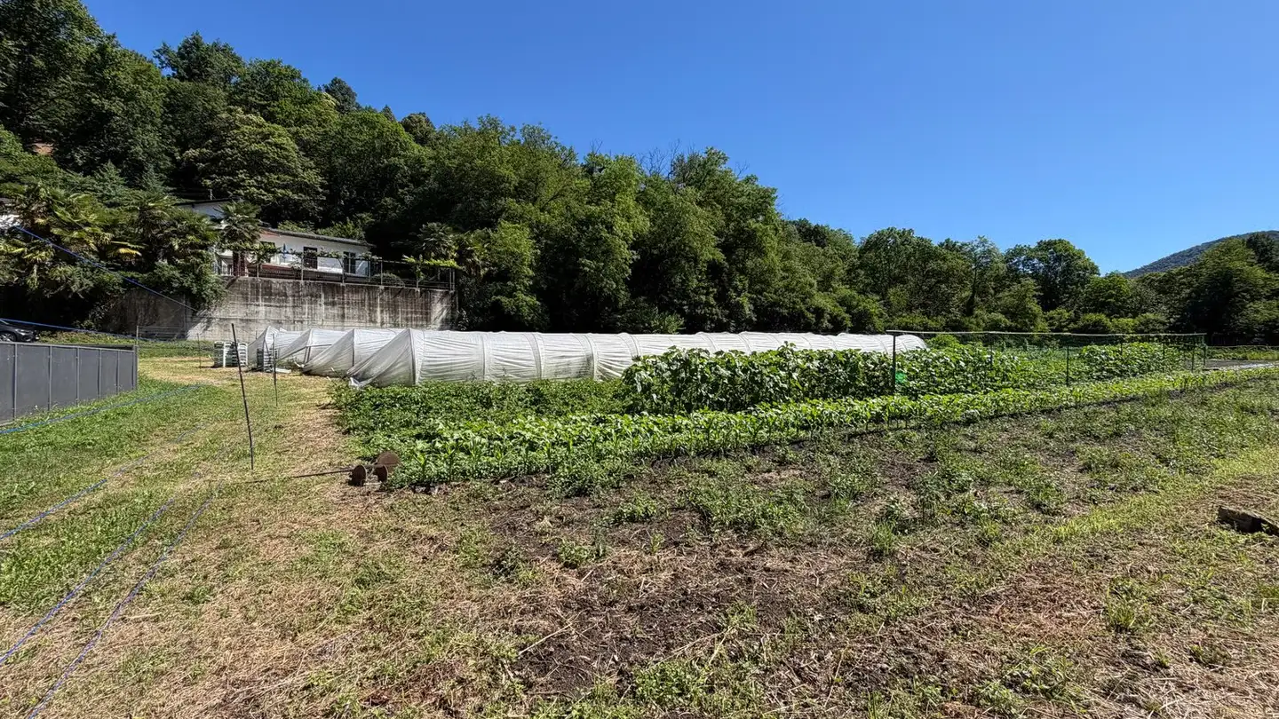 Constructible plot for sale - Via Crocivaglio, 6998 Monteggio - Photo 2