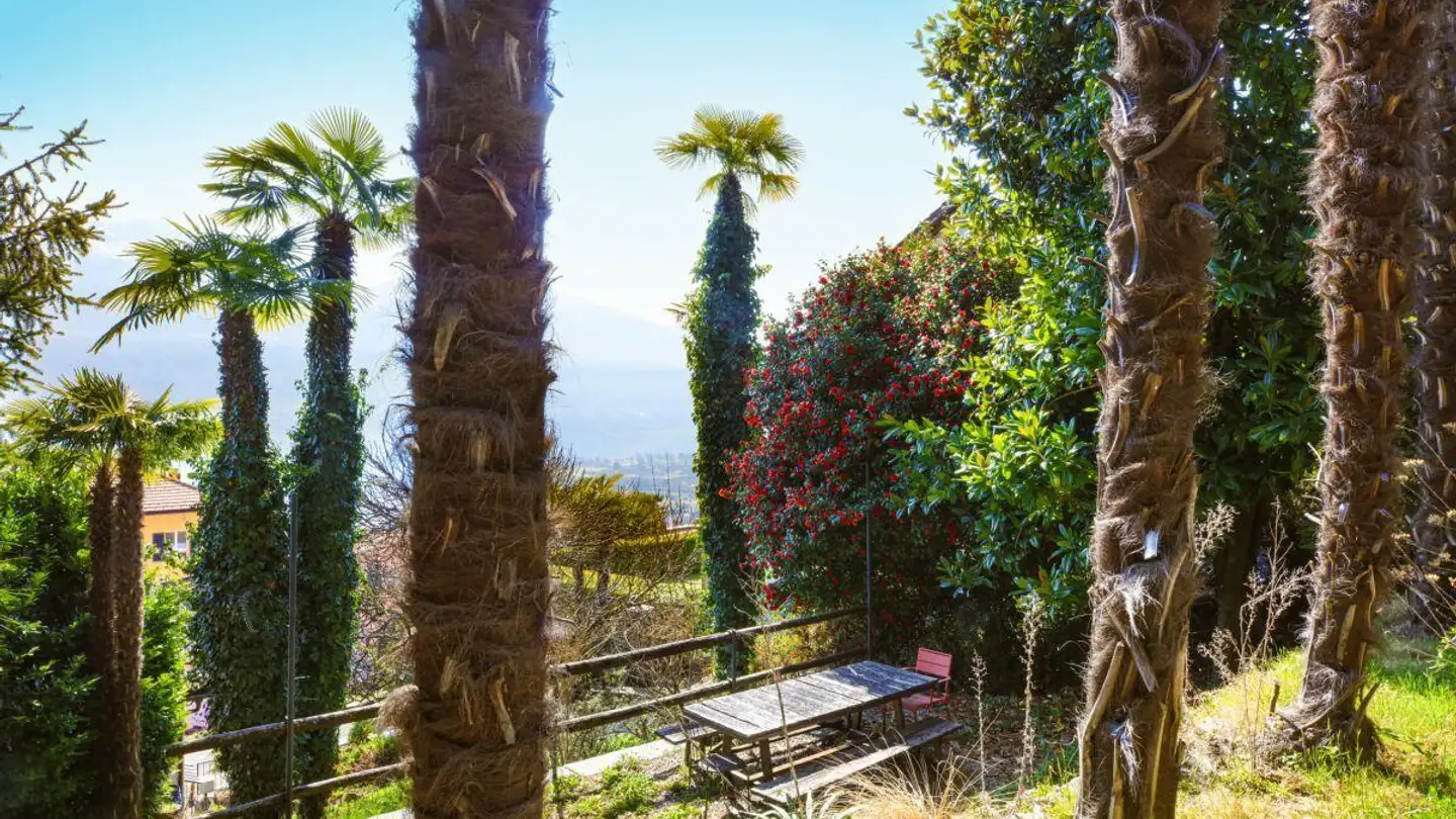 Constructible plot for sale - Via Al Parco 13, 6644 Orselina - Photo 3