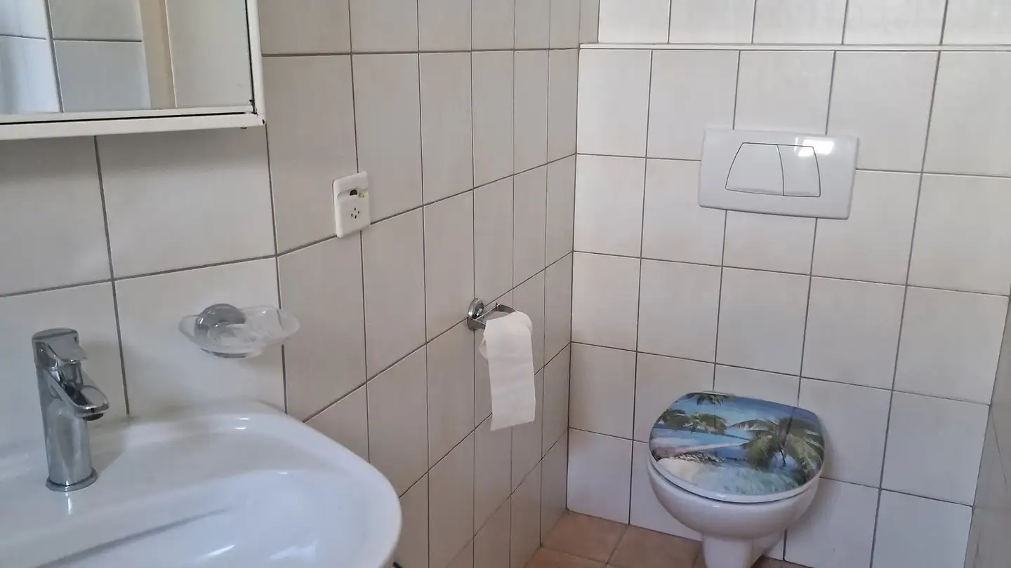 Appartamento in affitto - Via San Gottardo 133, 6648 Minusio - Foto 3