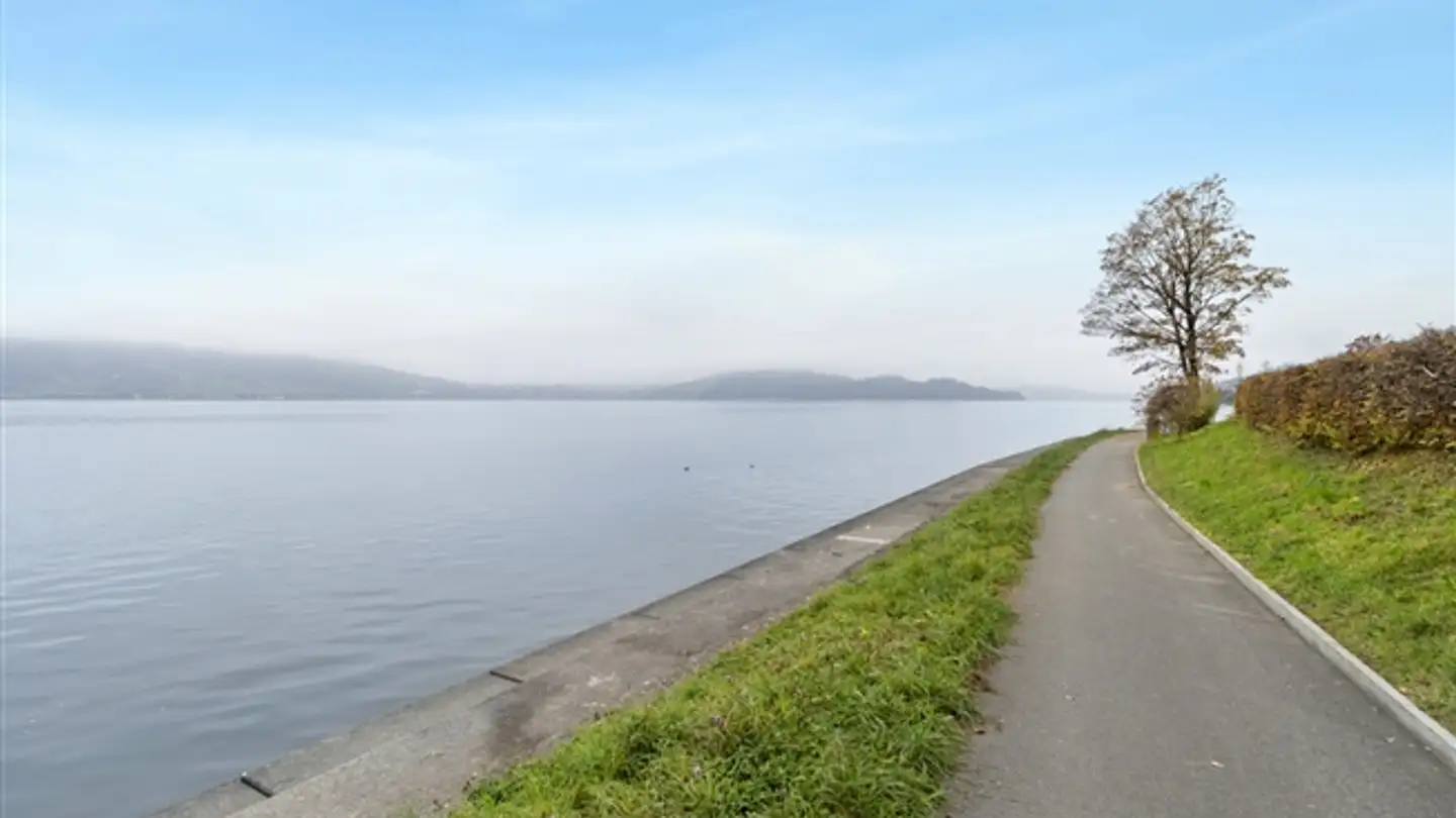 Single house for sale - 6318 Walchwil - Photo 3