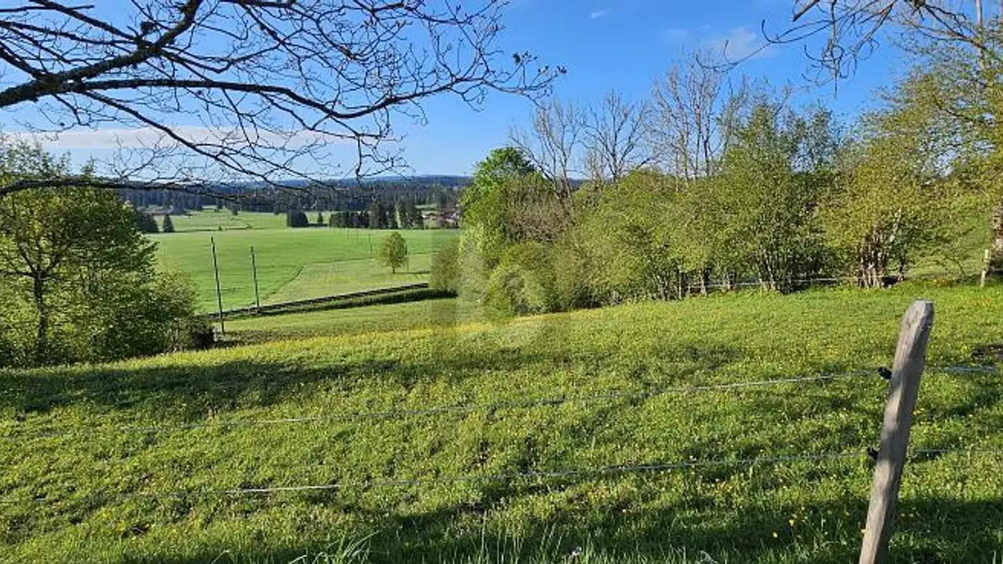 Constructible plot for sale - Sous Le Bémont, 2360 Le Bémont JU