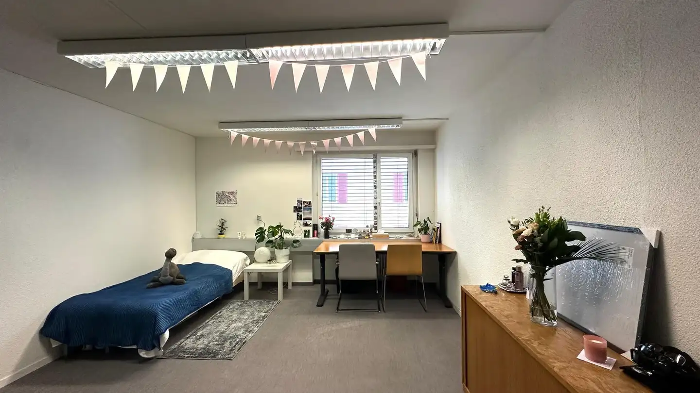 Furnished apartment for rent - Eduard-Steiner-Strasse 7, 8400 Winterthur