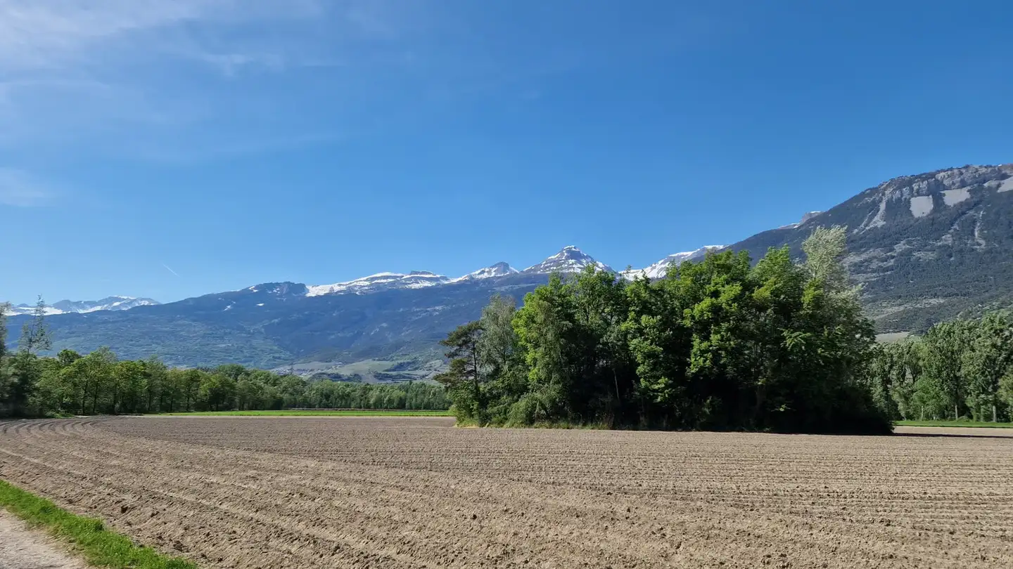 Appartamento in affitto - 3952 Susten