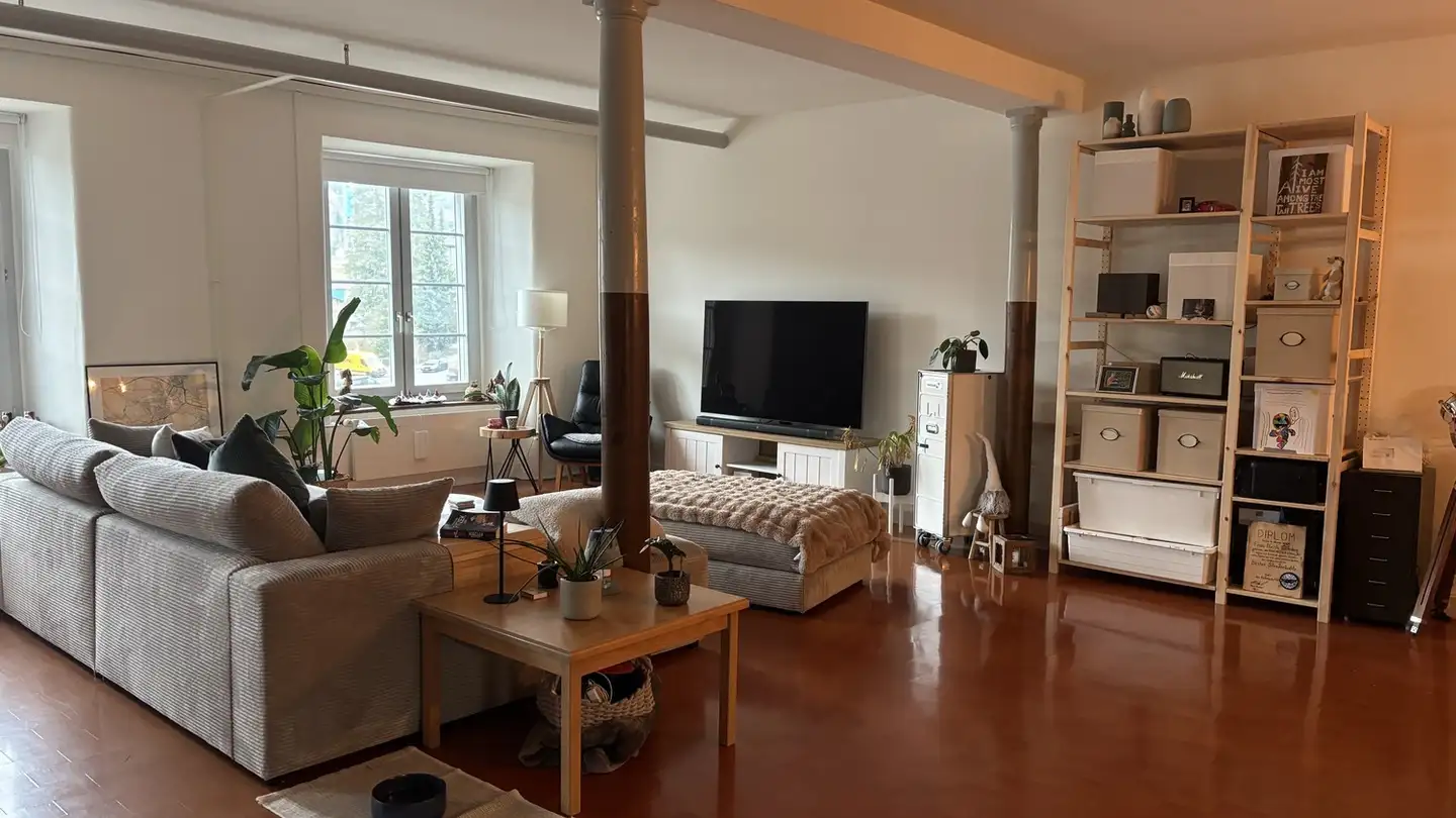 Appartamento in affitto - Spinnereistrasse 12, 8135 Langnau am Albis - Foto 3