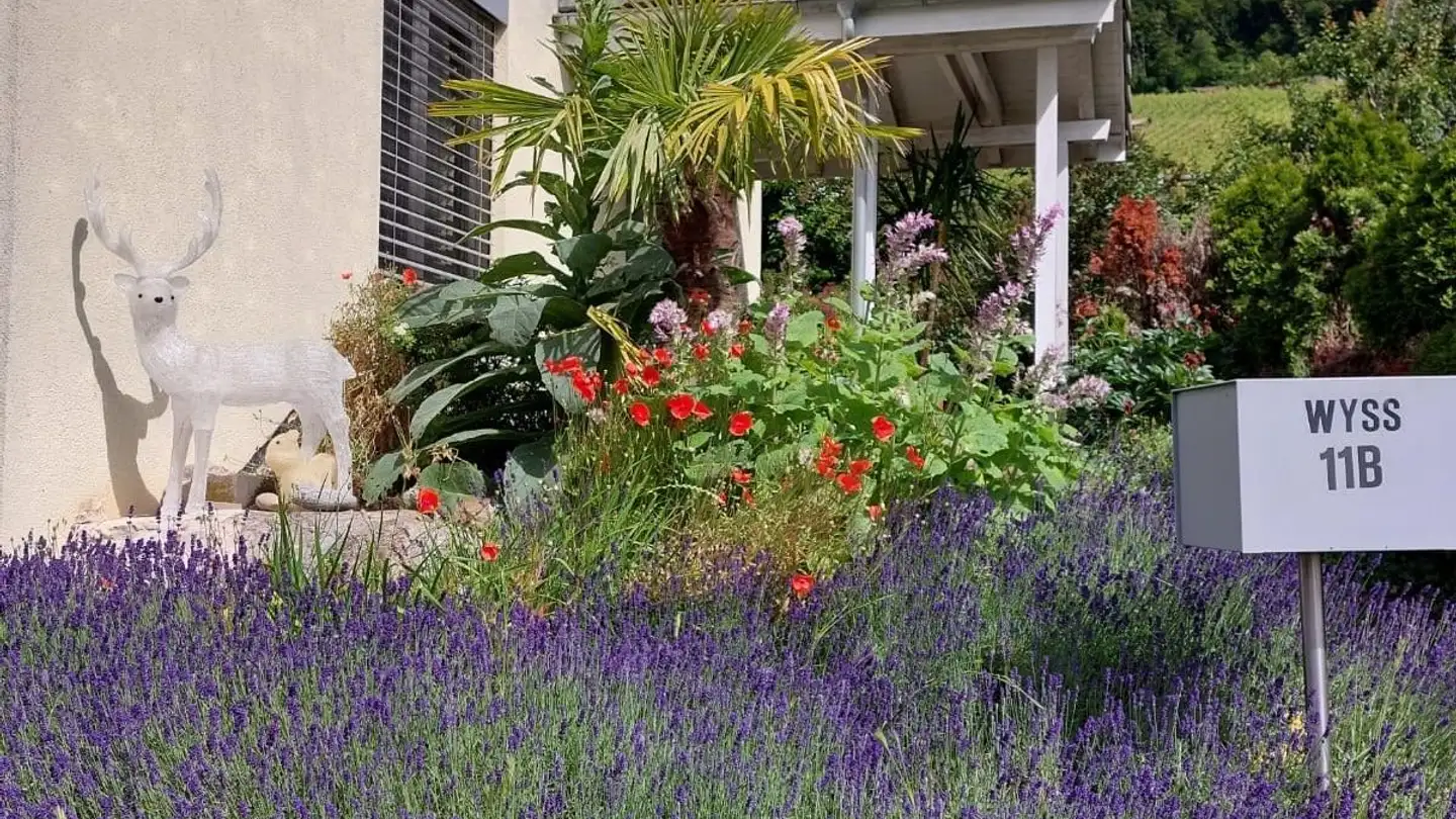 Casa singola in vendita - Winzerweg, 5108 Oberflachs - Foto 3