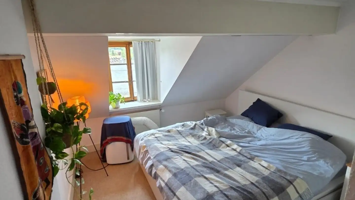 Appartamento in affitto - Rue Du Gothard, 1225 Chêne-Bourg - Photo 2