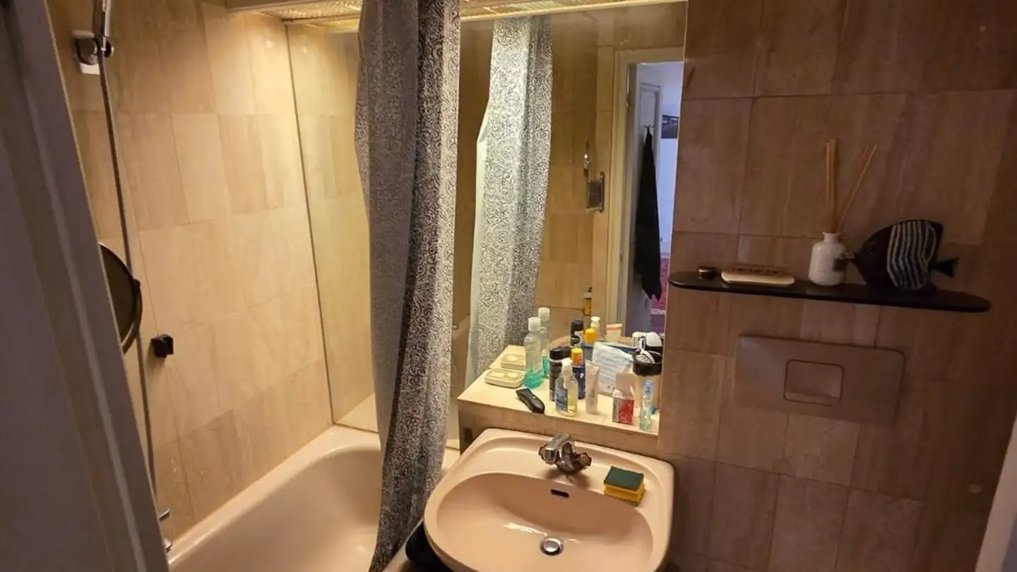 Appartamento in affitto - Rue Du Gothard, 1225 Chêne-Bourg - Photo 4