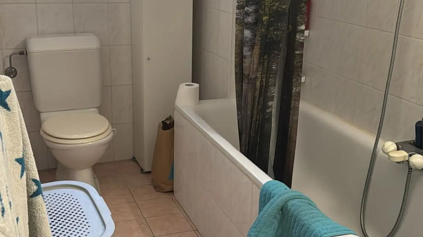 Appartamento in affitto - Via Dei Fiori 1, 6600 Muralto - Foto 3