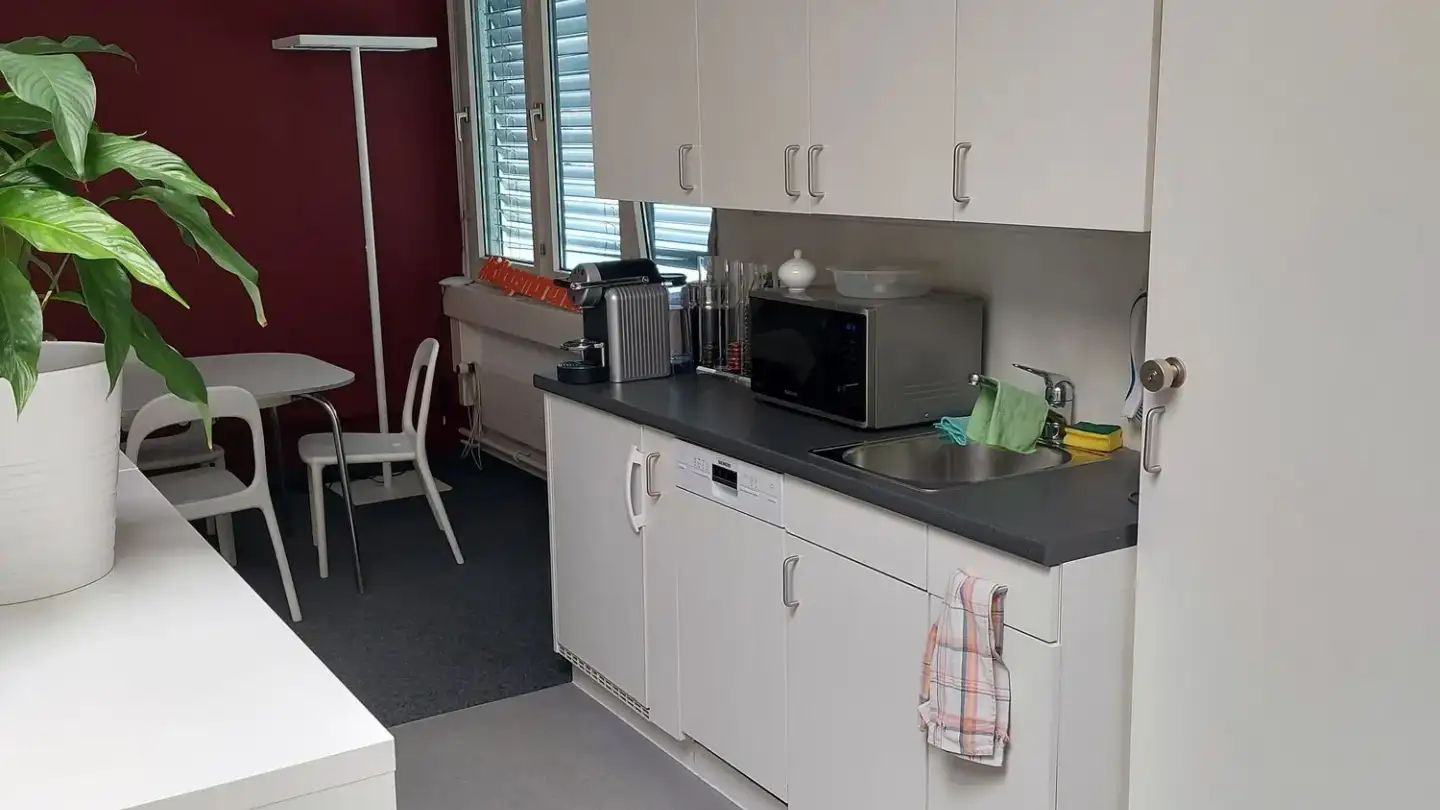 Commercial for rent - Mülistrasse 18, 8320 Fehraltorf - Photo 2
