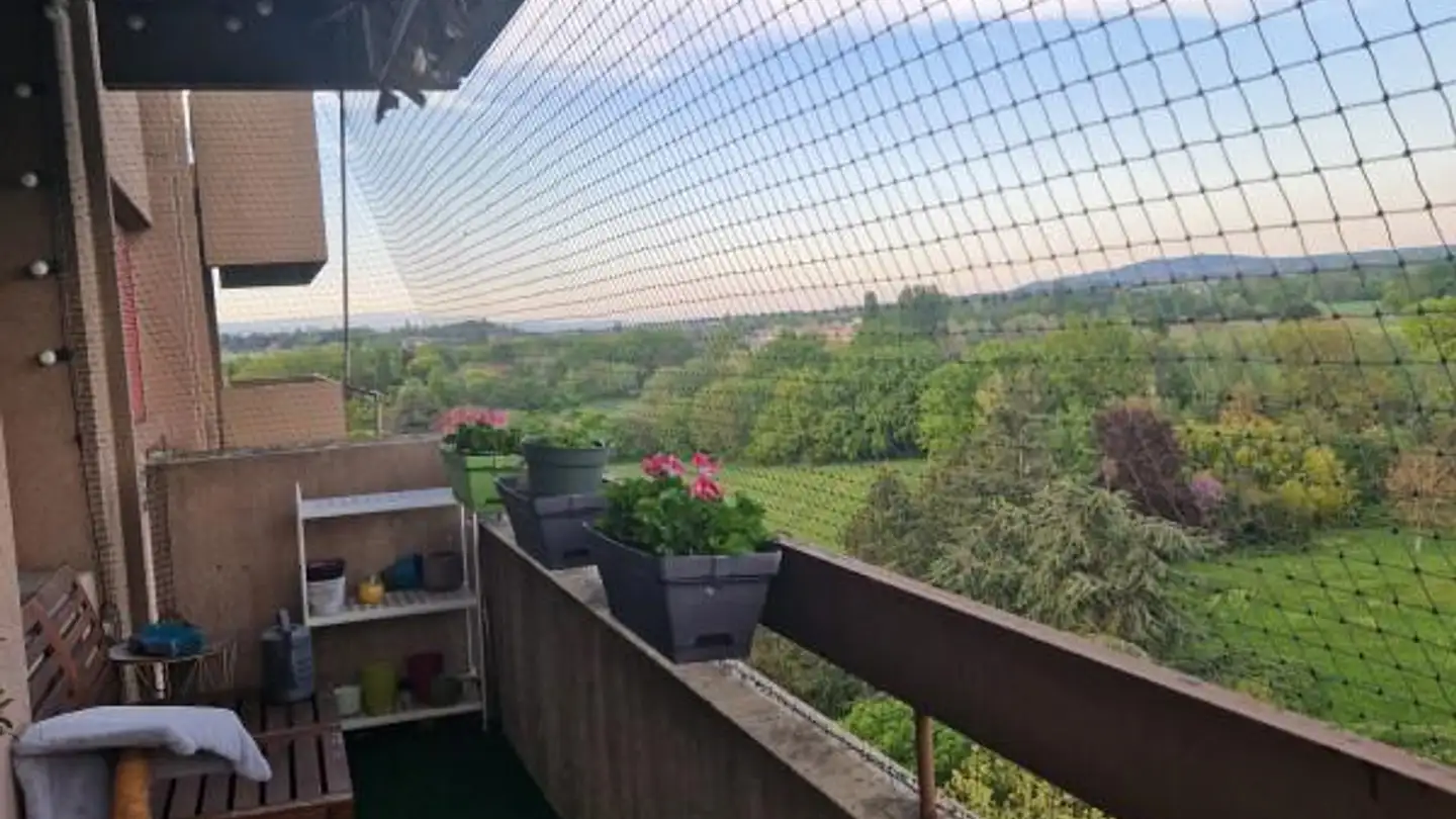 Appartement à louer - 1226 Thônex